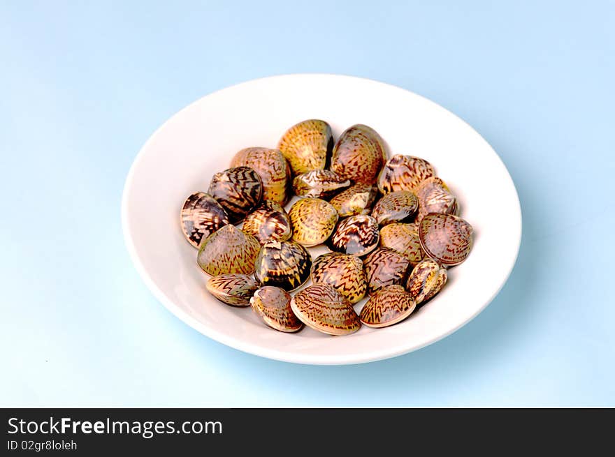 A plate of clams in a light blue background