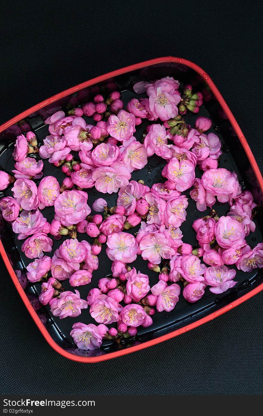 Flowers in plate with black background. Flowers in plate with black background