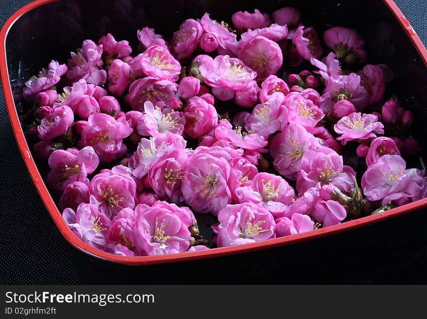 Flowers in plate with black background. Flowers in plate with black background