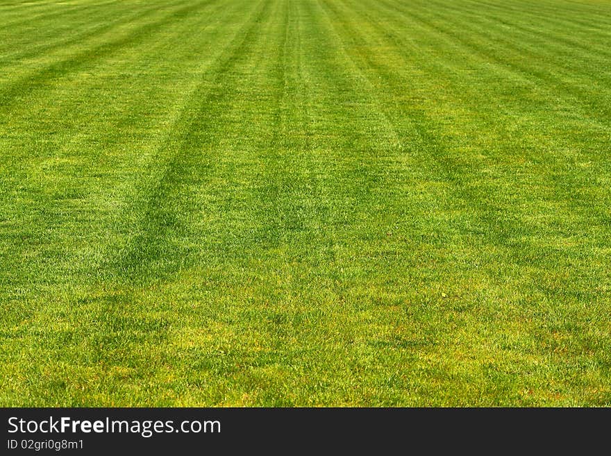 Mowed football playground with fresh green grass