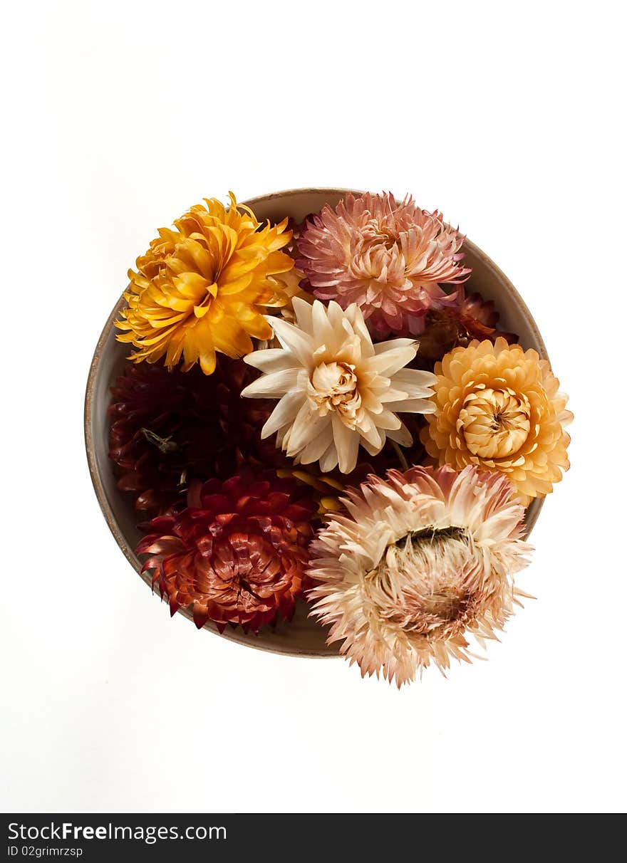 Dry flowers in porcelain cup