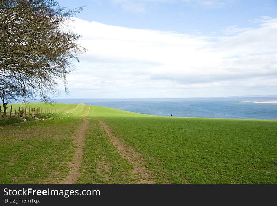 Farmland By The Sea.