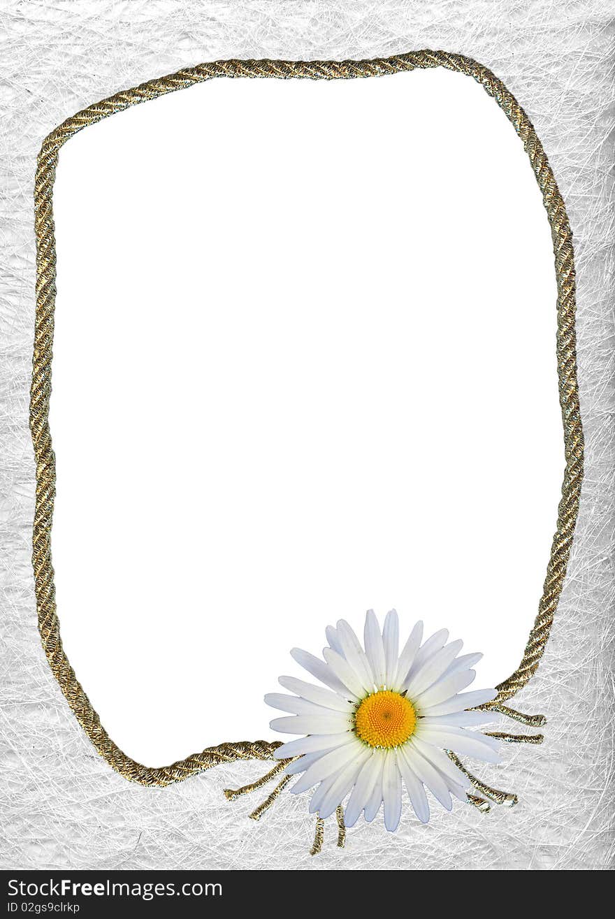 Decorative frame with white daisy - background for your text or picture. Decorative frame with white daisy - background for your text or picture