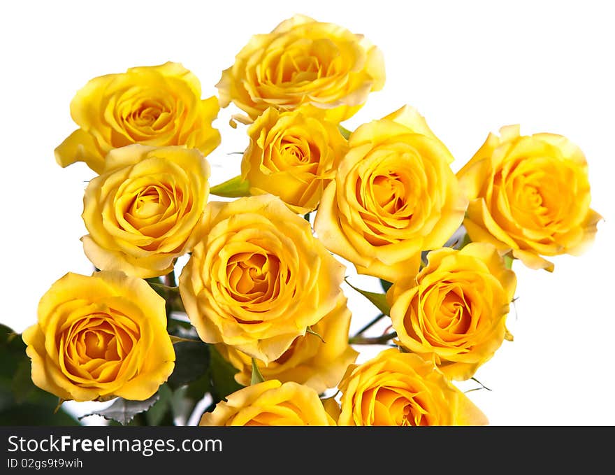 Beautiful bouquet of yellow roses isolated on white background. Beautiful bouquet of yellow roses isolated on white background