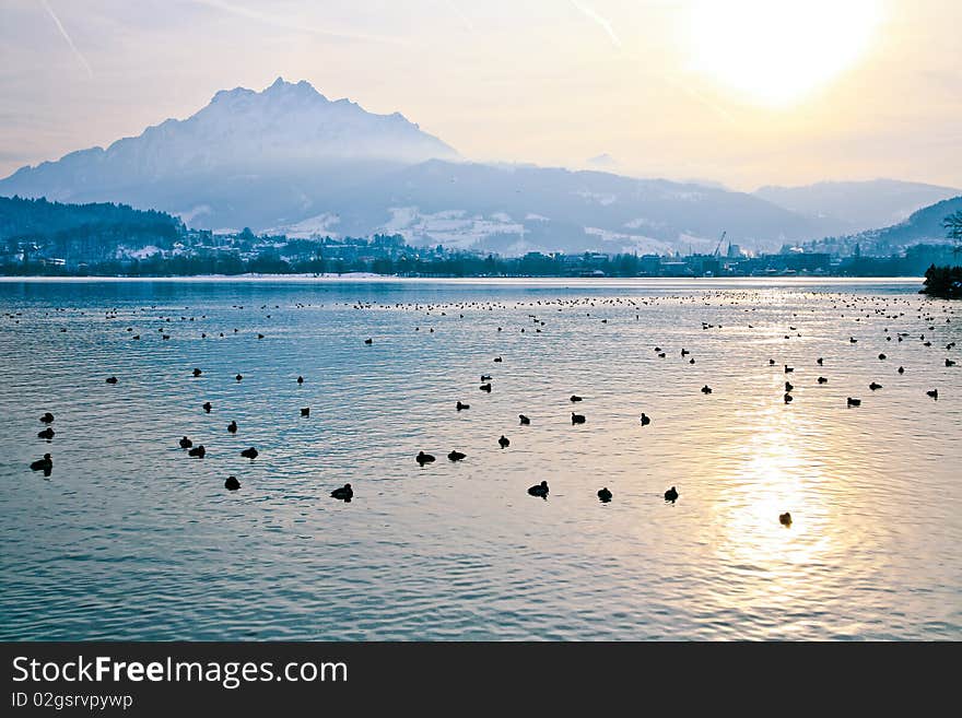 Evening on the swiss lake Luzern. Evening on the swiss lake Luzern