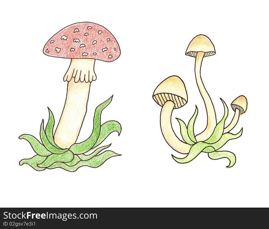 Mushrooms