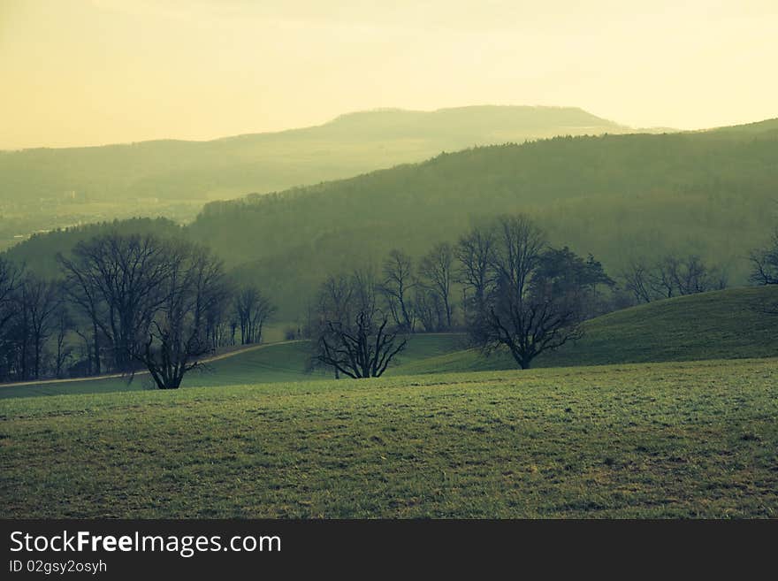 Swiss autumn scenery in alpine hill with alone trees. Swiss autumn scenery in alpine hill with alone trees