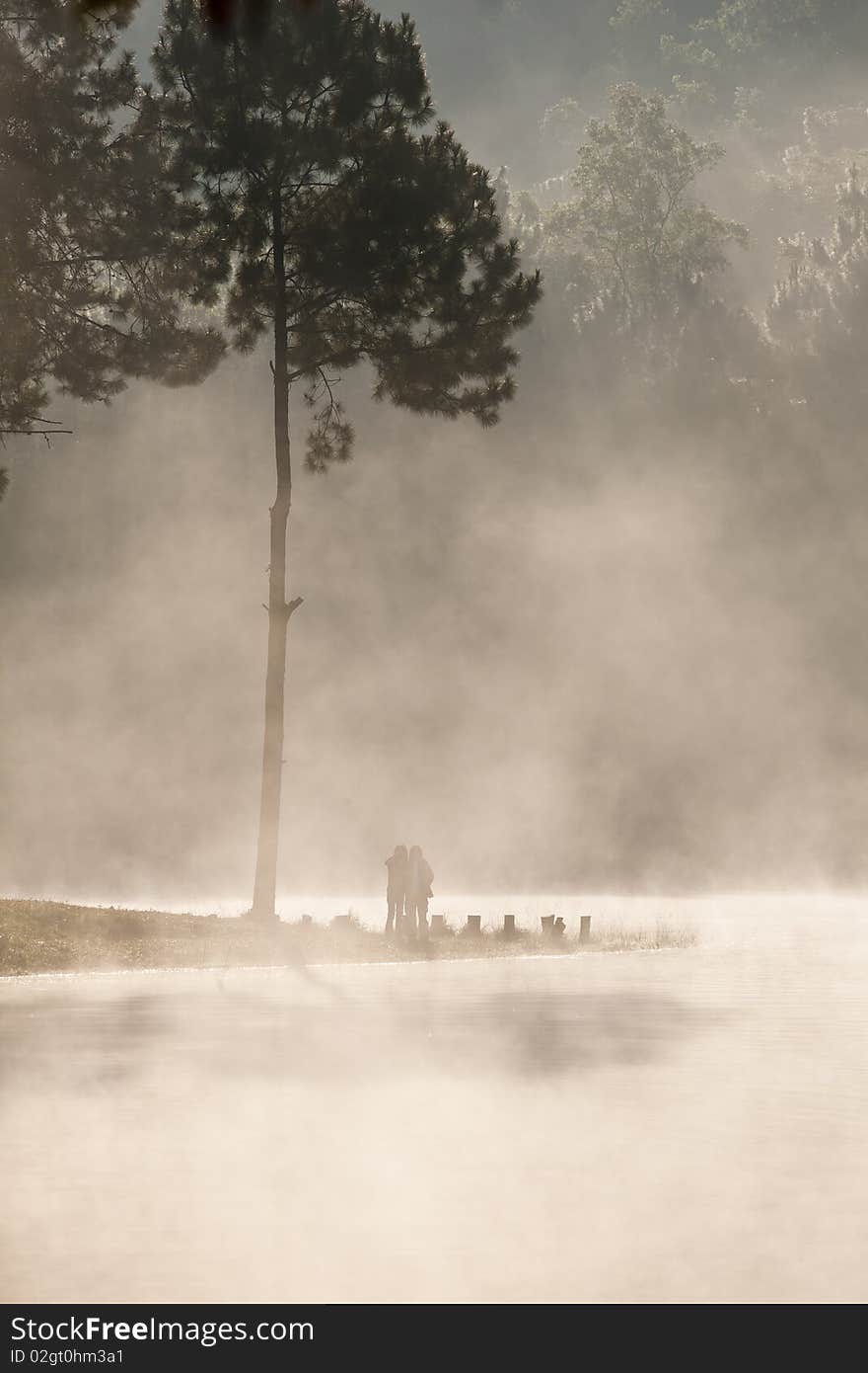 Fog on the water in the winter. Fog on the water in the winter.