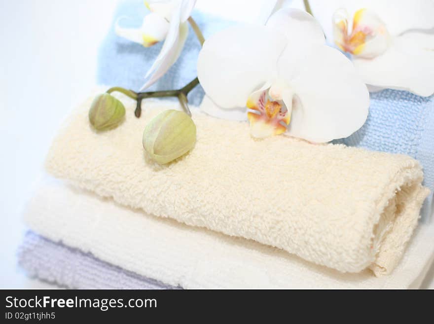 The small towels in roll with orchid around. The small towels in roll with orchid around