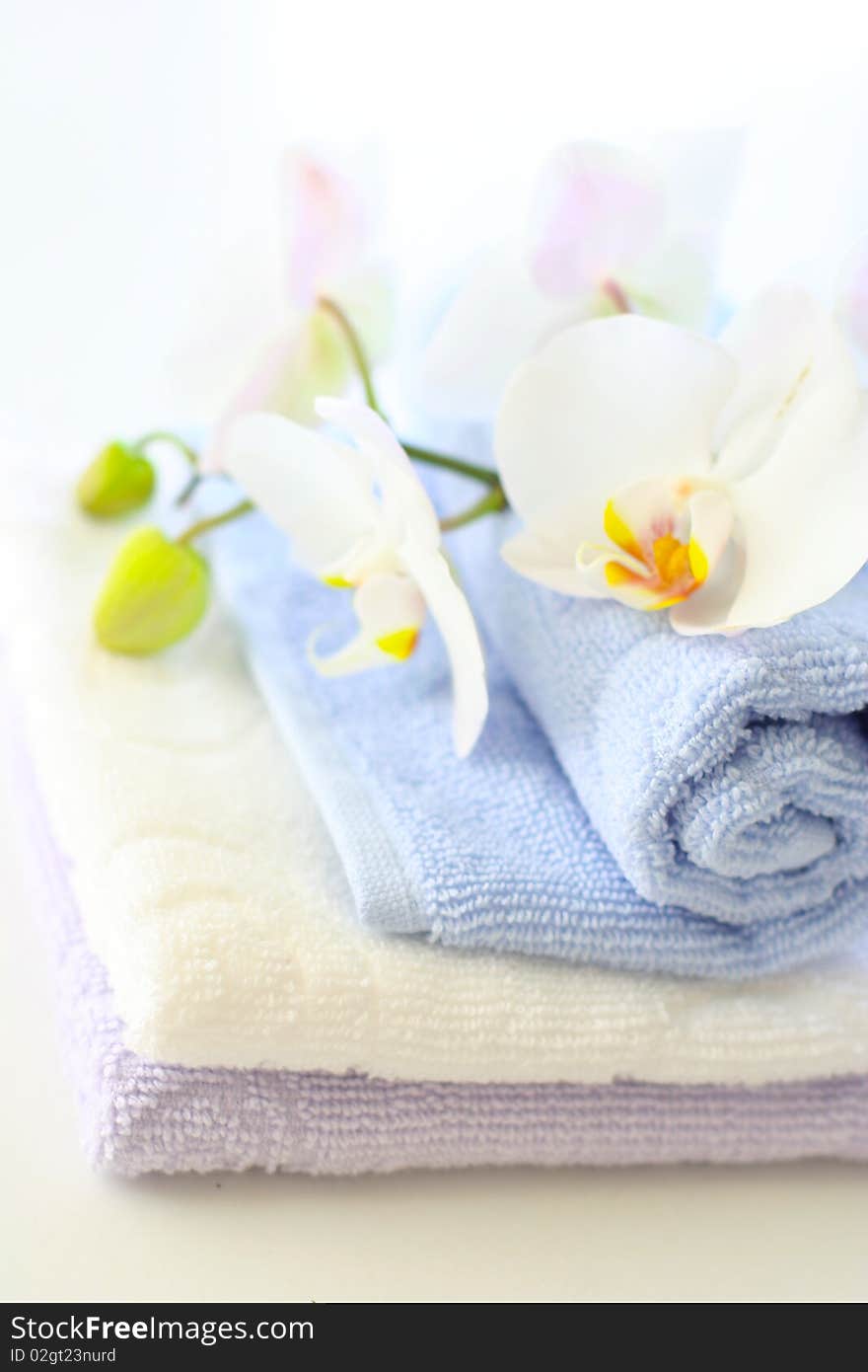 Towels And Orchids