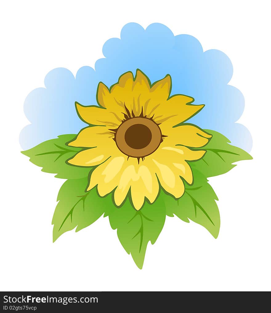 Yellow sunflower with green leaves