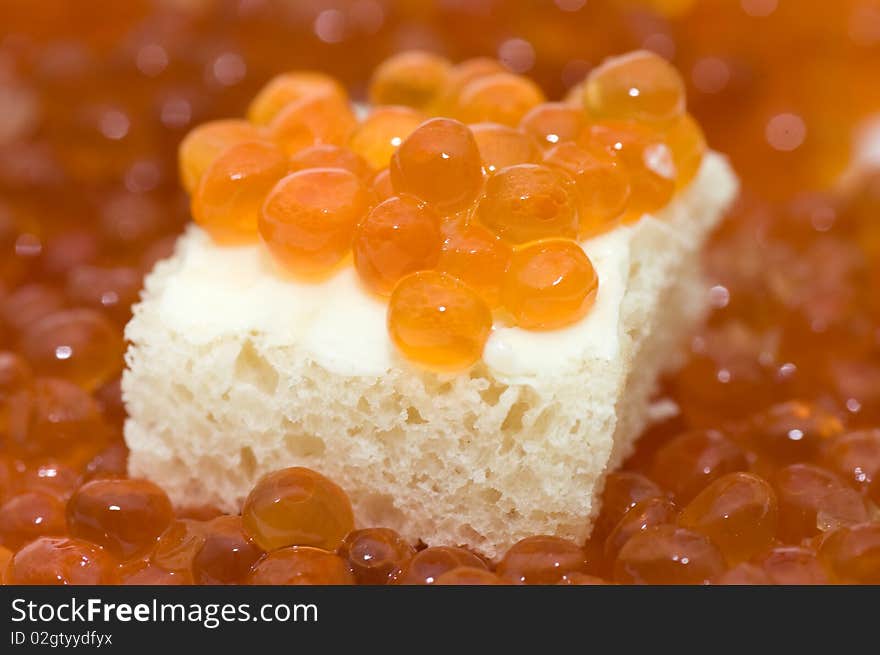 Small sandwich with a butter and caviar closeup