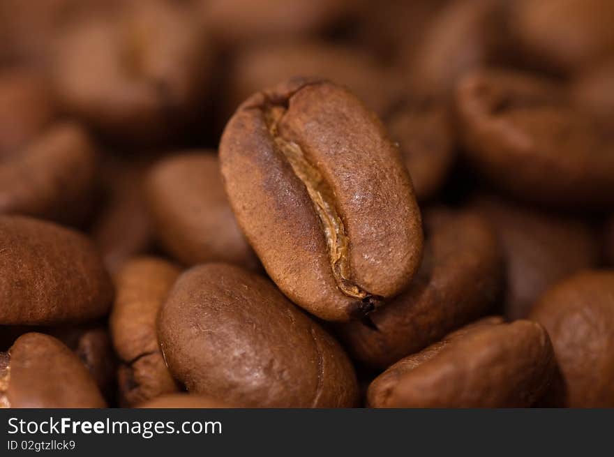 Close up macro shot of coffee bean. Selective focus on single bean.