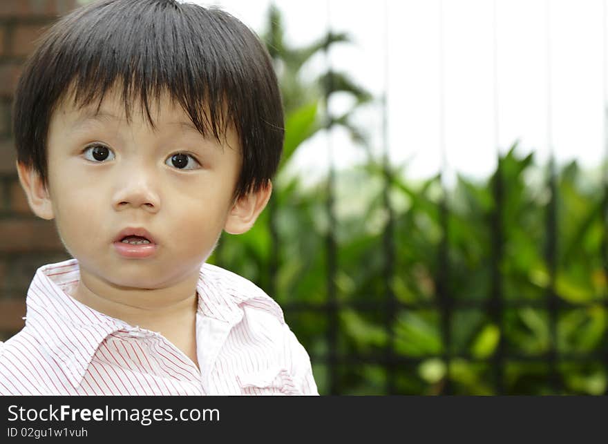 An Asian boy at a park looking surprised. An Asian boy at a park looking surprised