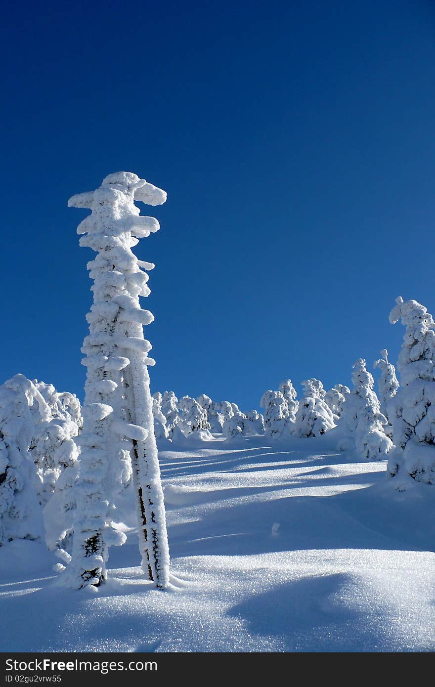 Snowy Signpost in winter Landscape