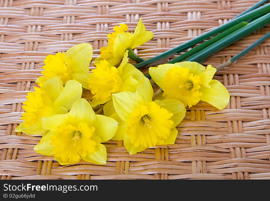 Bouquet of yellow narcissuses on a wattled table from a rod