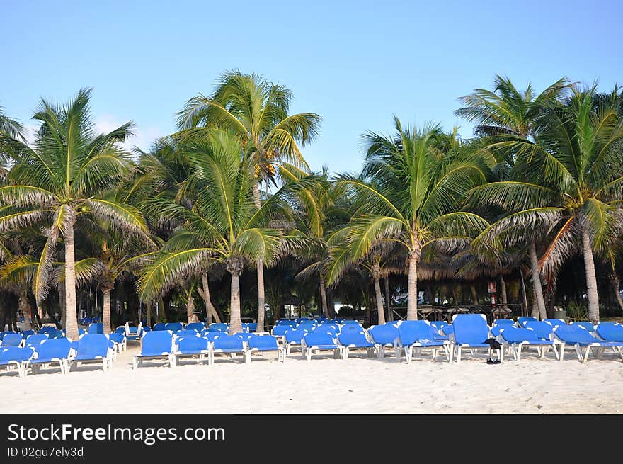 Sand, empty plank beds, grassy umbrellas and the sea. Sand, empty plank beds, grassy umbrellas and the sea.