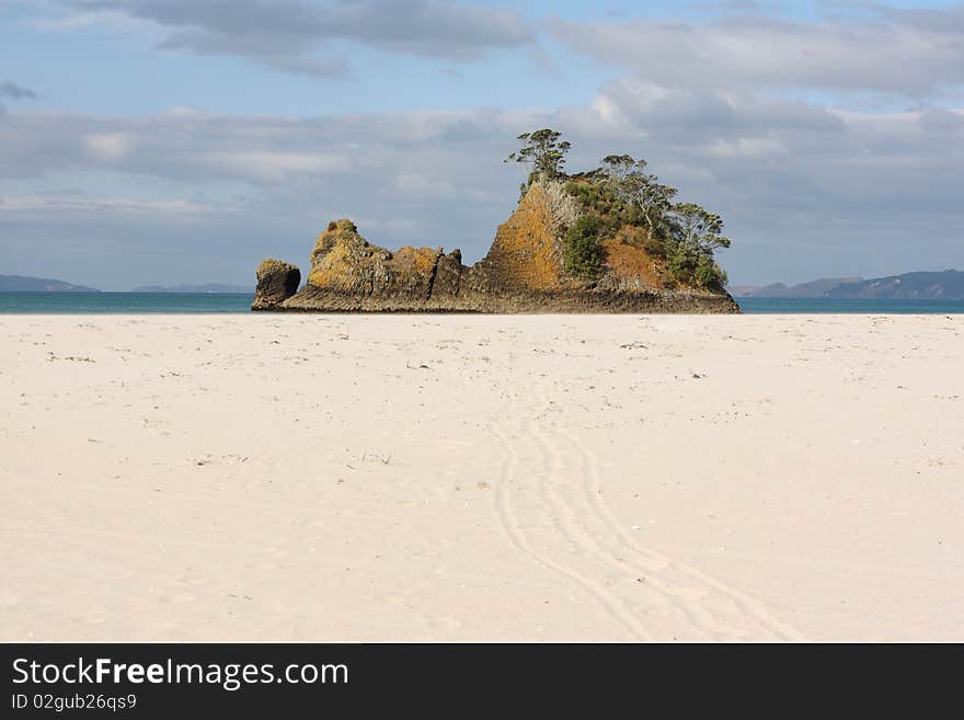 Pungapunga Island New Zealand