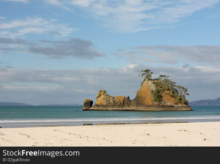 Pungapunga Island New Zealand