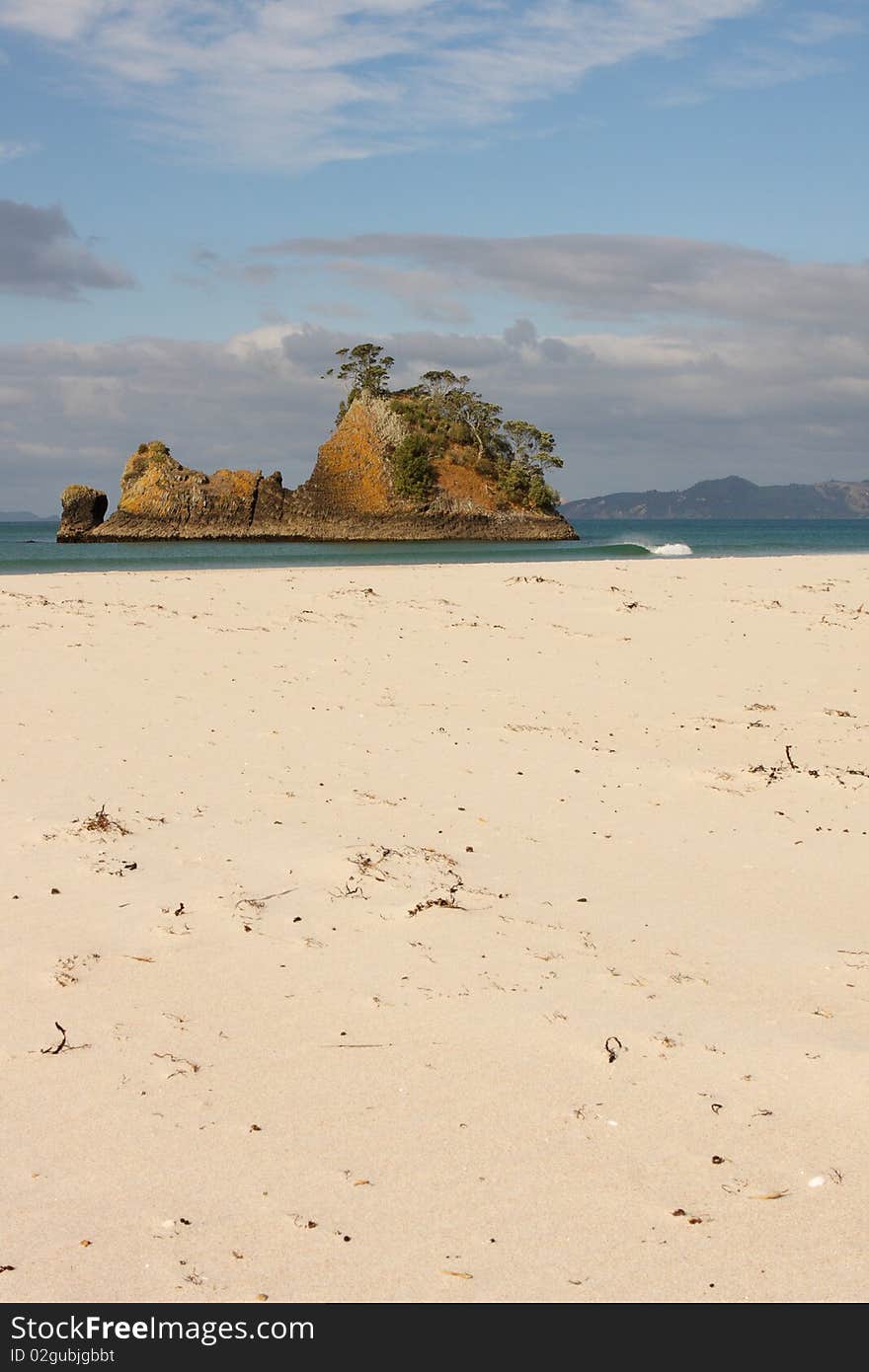 Pungapunga Island New Zealand