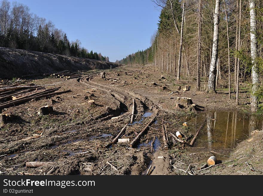 Deforested area in a forest with cutted trees and dirt road, Russia. Deforested area in a forest with cutted trees and dirt road, Russia