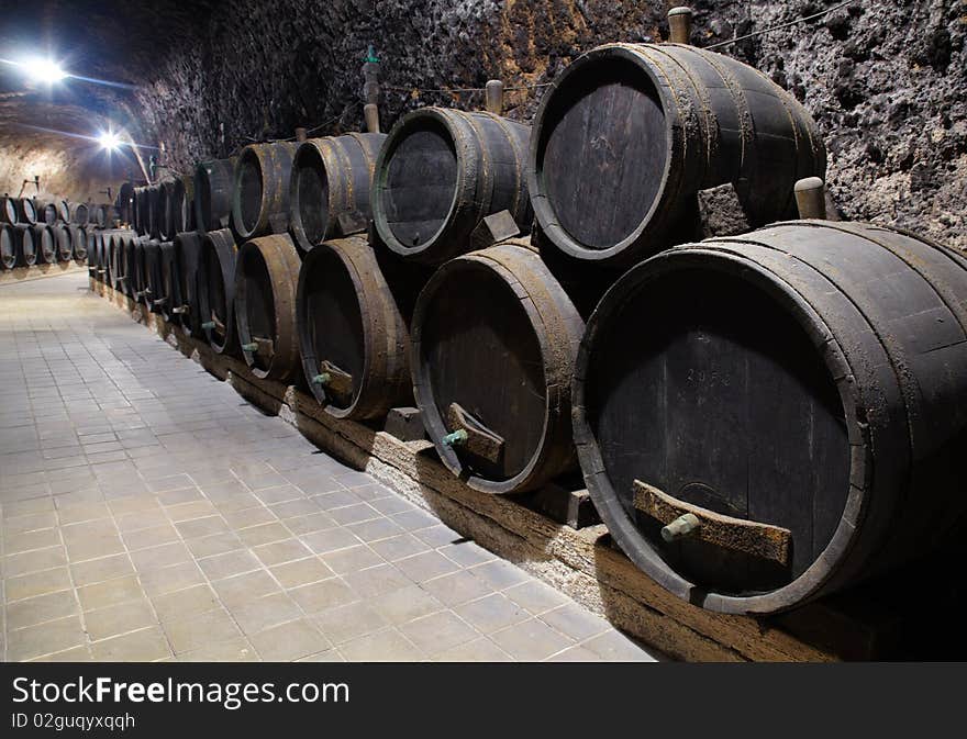 Corridor with wine barrels in winery. Corridor with wine barrels in winery