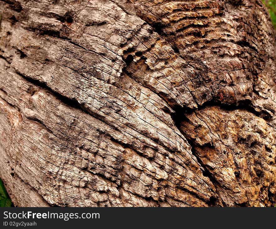 Wood texture background for design