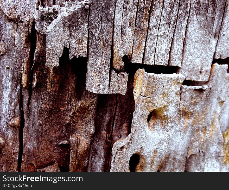 Wood texture