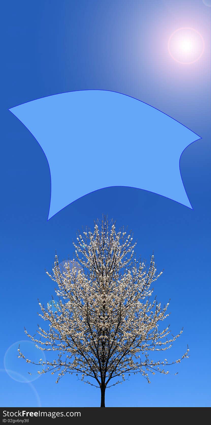 Flowering tree with large, highlighted copy space in the clear bright sky over it