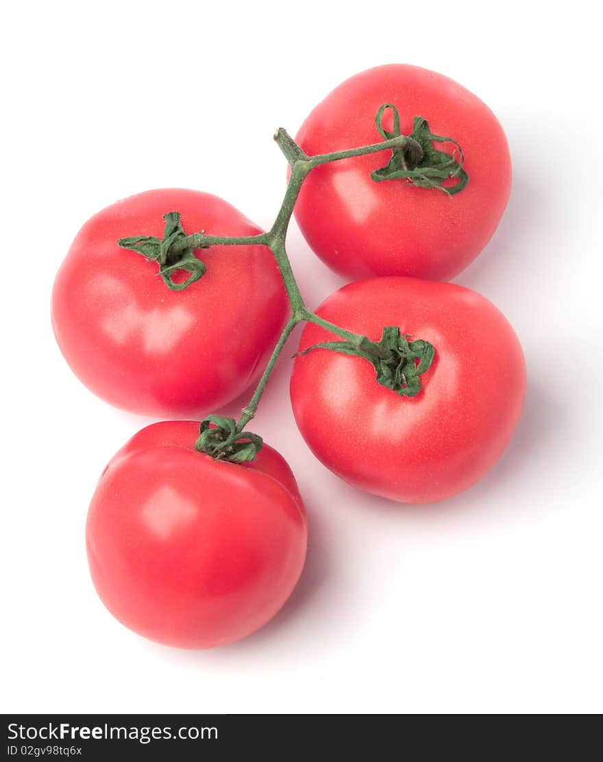 Red Tomatoes