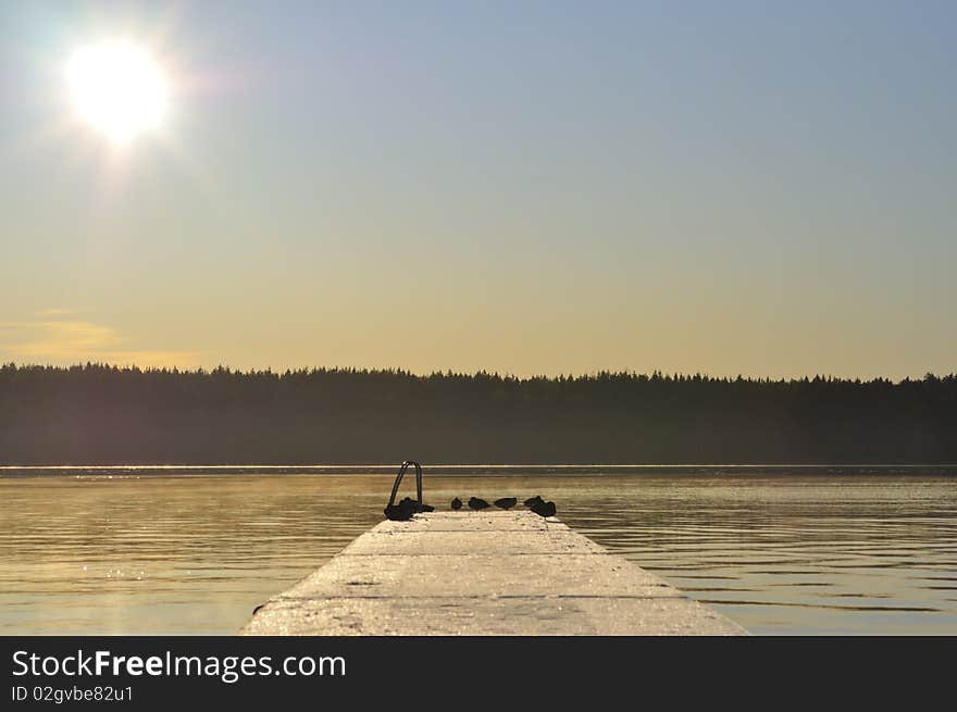 Winter Sun Bridge.