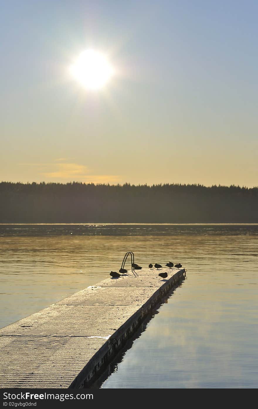 Winter sun bridge.