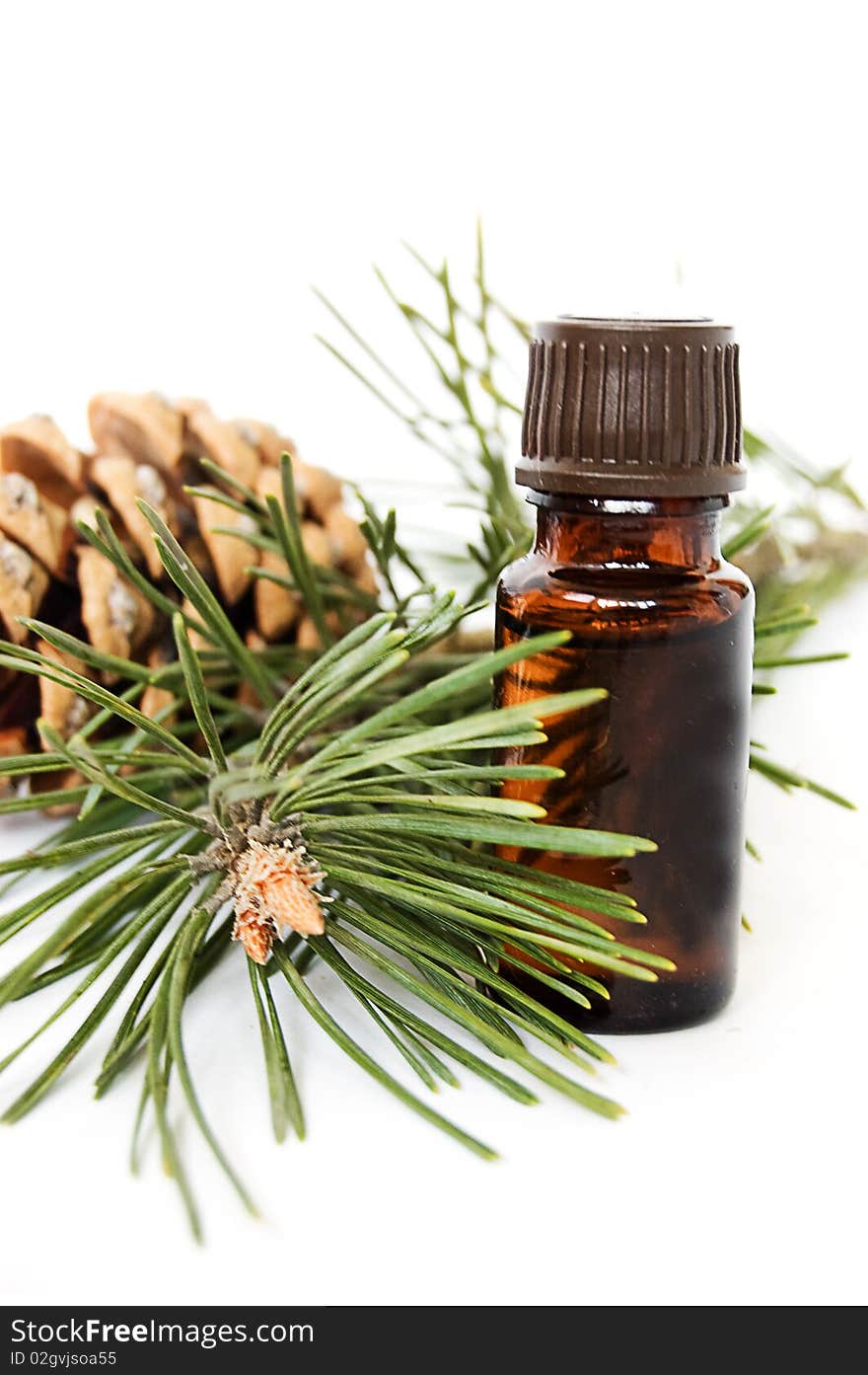 Bottle of fir tree oil