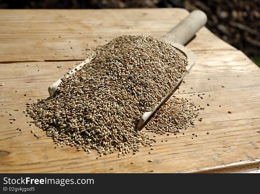 Baker raw material, pan with seeds