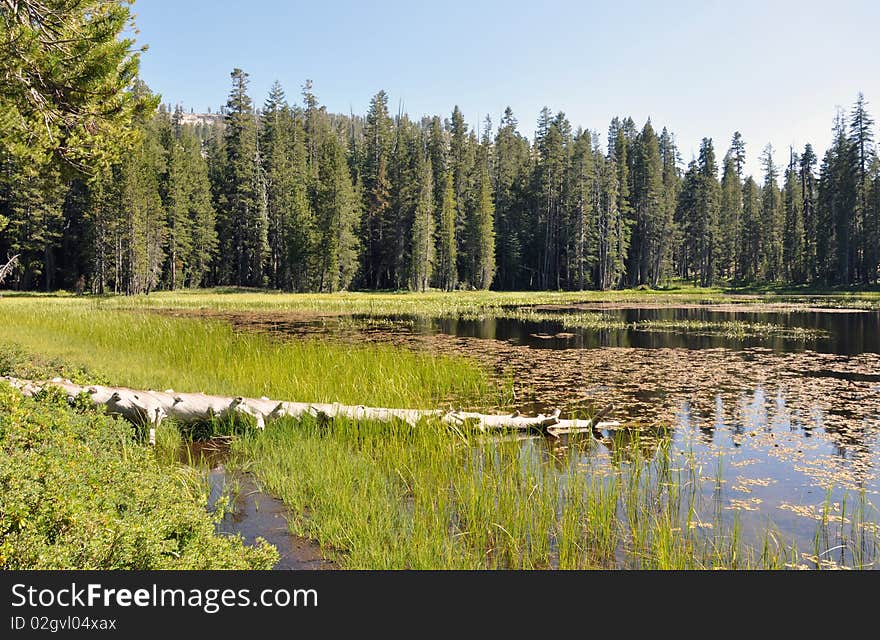 Small pond at Yosemite National Park eastern entrance, California, USA