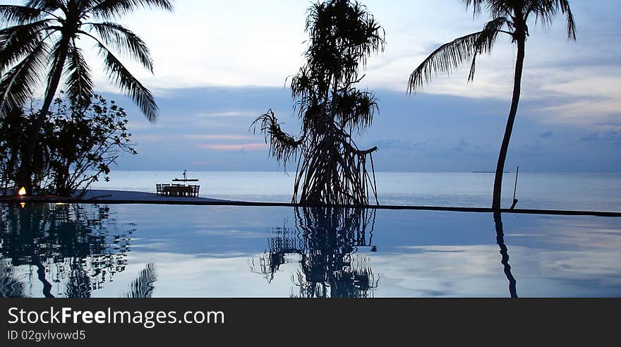 Reflection of trees and sky in the pool, resort in the Maldives. Reflection of trees and sky in the pool, resort in the Maldives