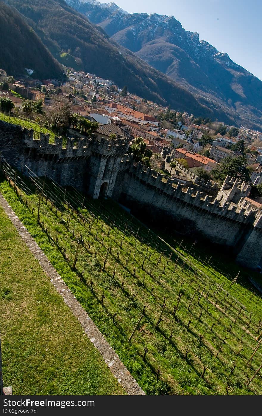 Old vineyards