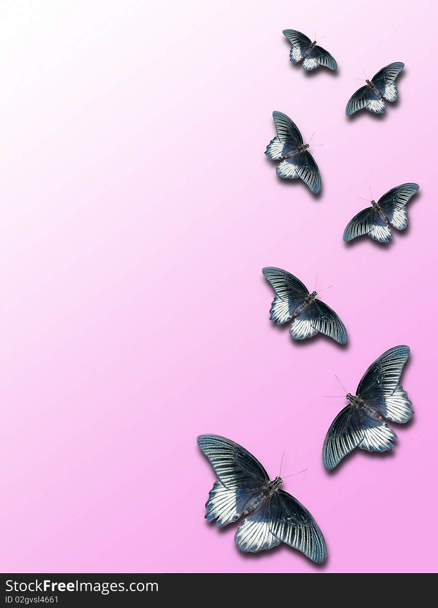 Butterflies pattern