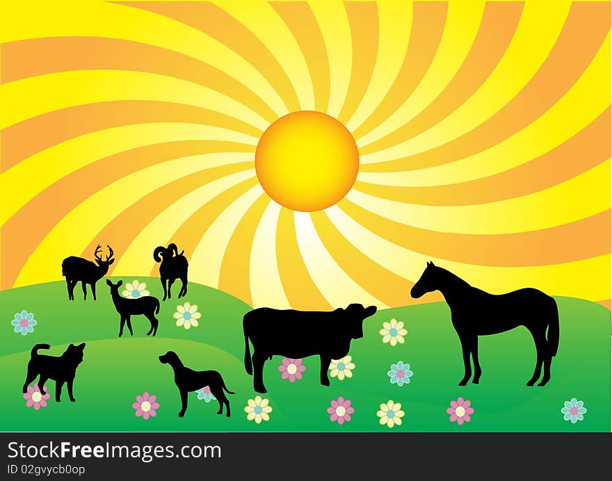 Vector illustration of animals on field. Vector illustration of animals on field