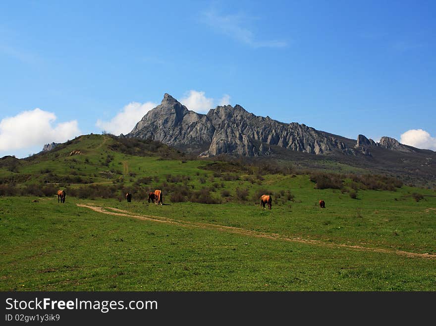 Horses graze at the foot of the mountain. In the distance rises a rocky mountain. Horses graze at the foot of the mountain. In the distance rises a rocky mountain