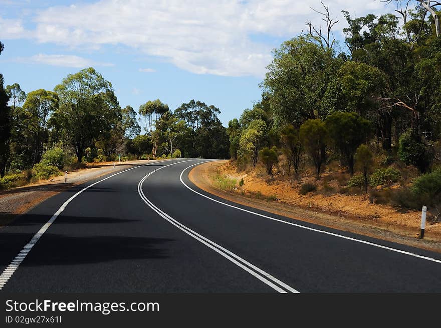 Road passing through the bush