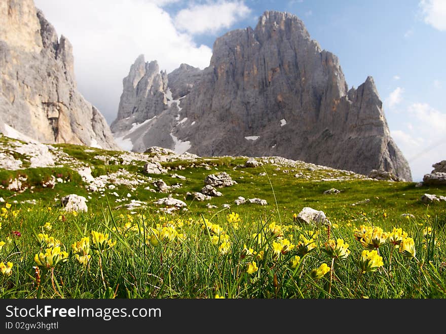 Cima Della Madonna In Pale Di San Martino - Dolomi