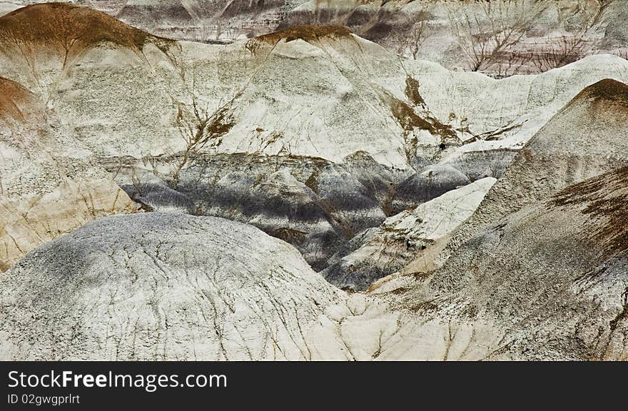 Landscape of Petrified Forest, Ariz, western USA