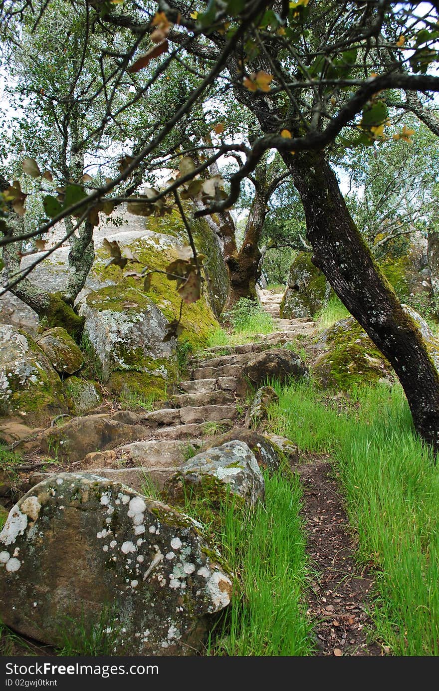 Mountain Trail Stairway