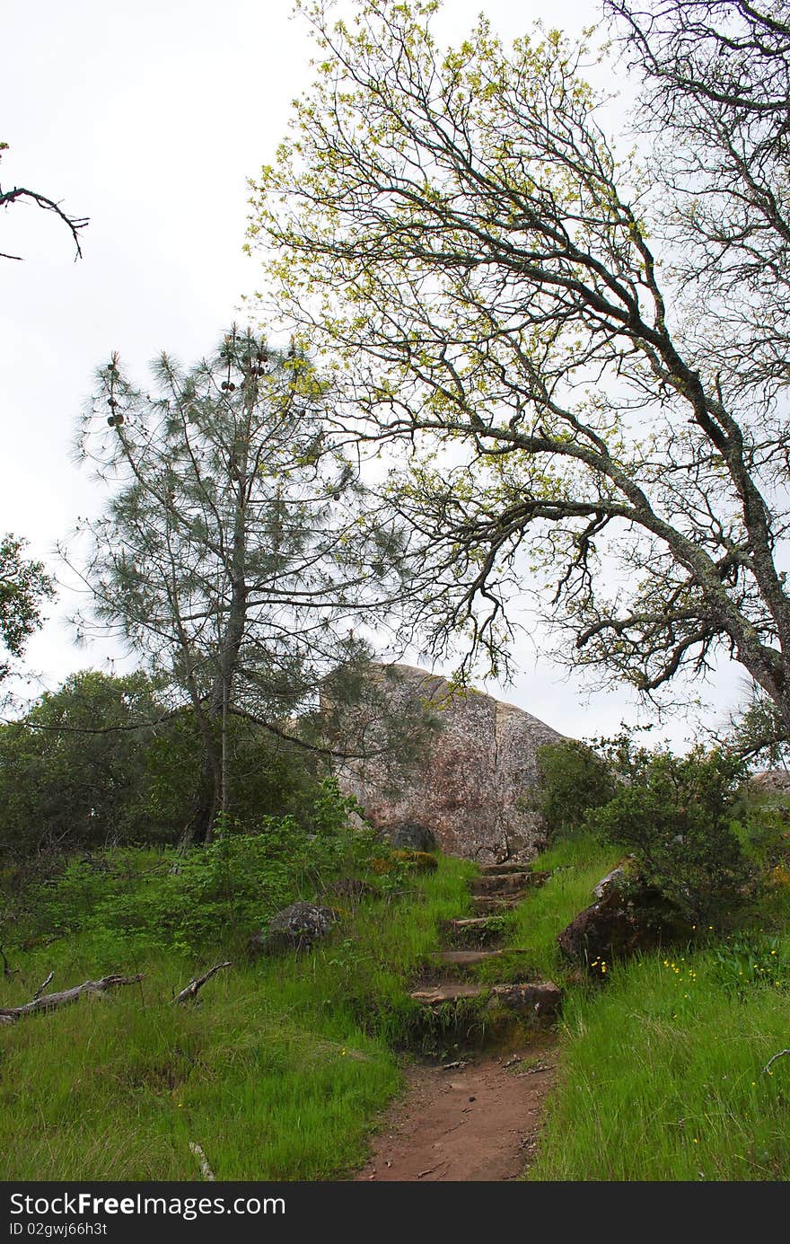 Mt Diablo Trail