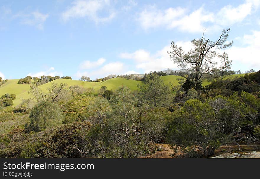 Hillside Views