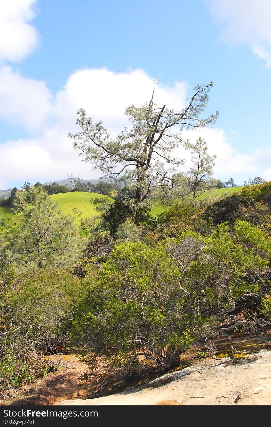 Mountain Terrain