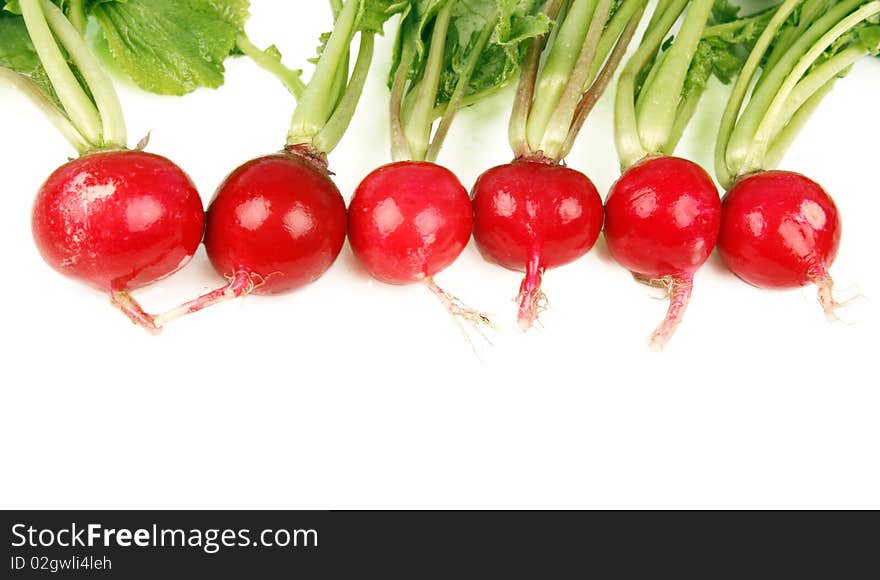 Fresh radishes on white background