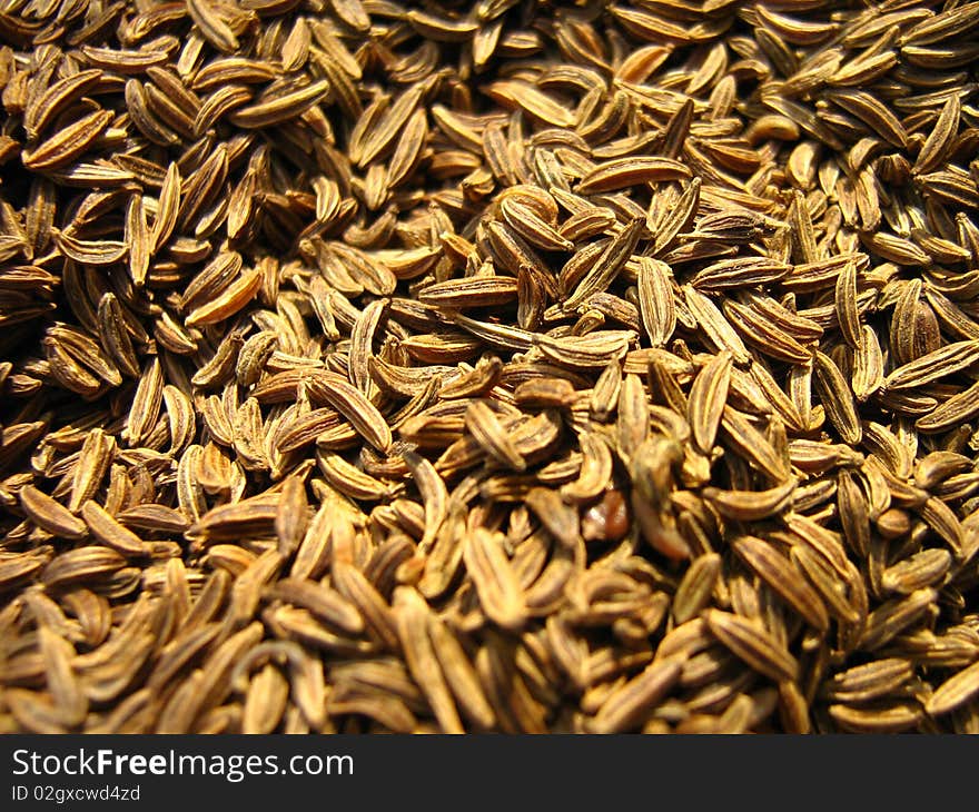 Indian Spice - Cumin Seeds