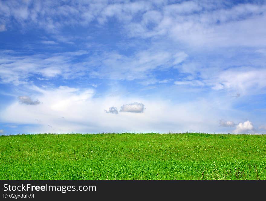 Summer landscape